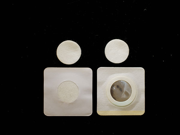 �����N���a